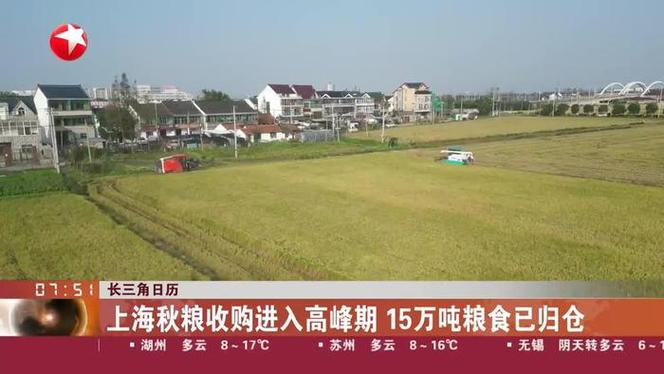2023年秋粮收购进入高峰期 各地多举措保障粮农粮出手钱到手
