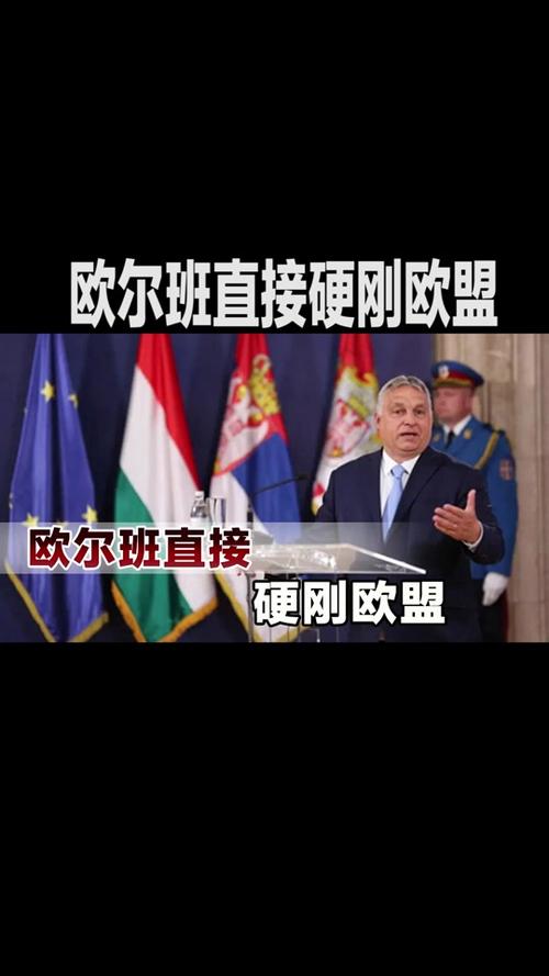 欧盟官员:谴责以色列议会就限制近东救济工程处行动开展投票