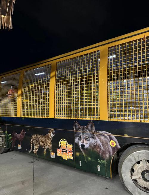 上海消暑休闲新玩法:“夜探猛兽区”沉浸式感受神秘动物世界