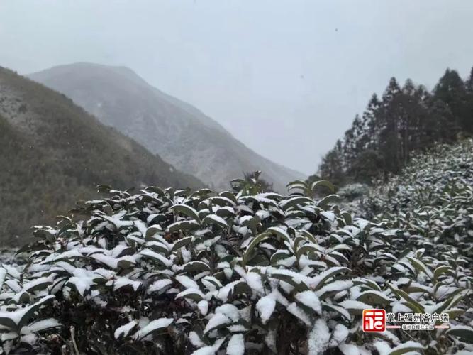 福建省长汀县发布雪灾黄色预警