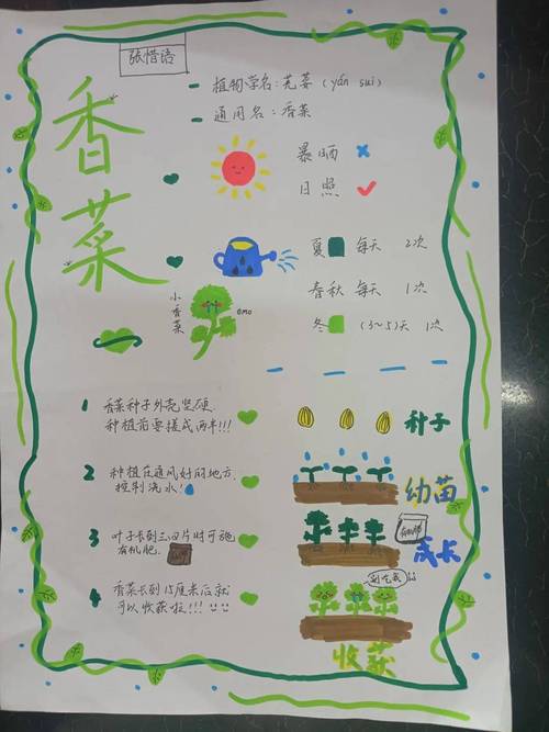 蔬菜填上“空档期” 探寻藏在育秧工厂里的丰收密码