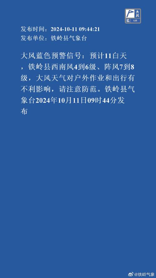 广西壮族自治区来宾市发布大风蓝色预警
