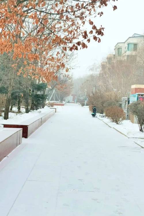 黑龙江省绥芬河市发布道路冰雪黄色预警_4
