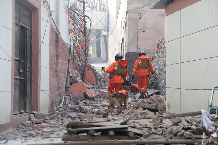 积石山6.2级地震已有519人出院