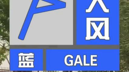 河北省平乡县发布大风蓝色预警_4